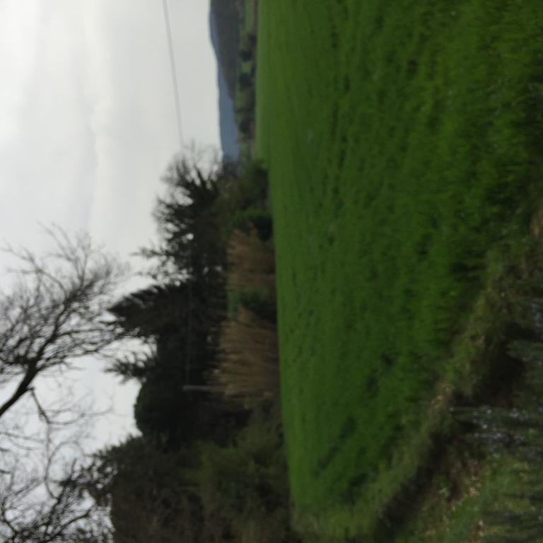 مادجوني Azienda Agrituristica I Tre Casali المظهر الخارجي الصورة