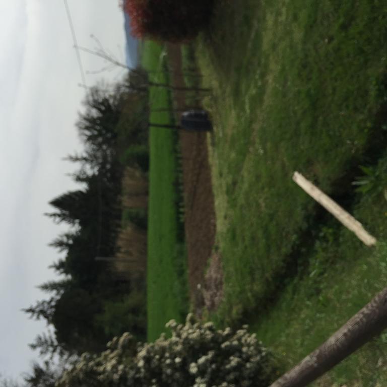 مادجوني Azienda Agrituristica I Tre Casali المظهر الخارجي الصورة