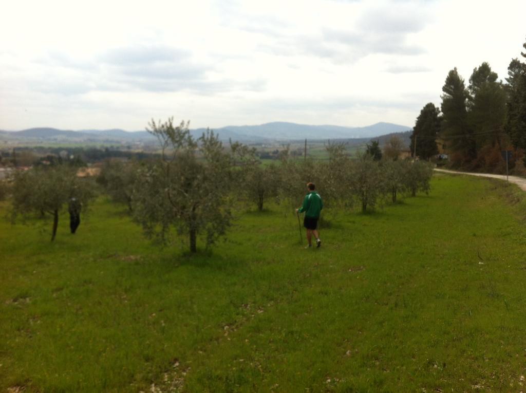 مادجوني Azienda Agrituristica I Tre Casali الغرفة الصورة
