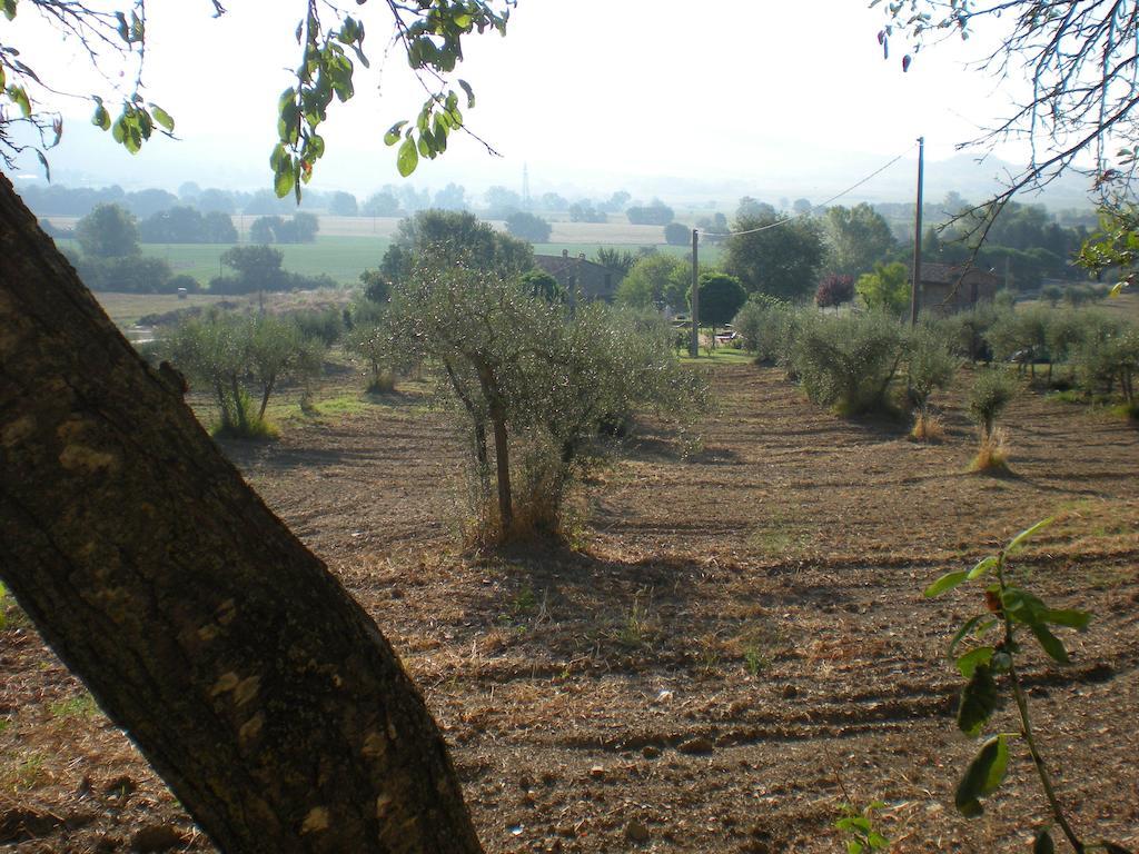 مادجوني Azienda Agrituristica I Tre Casali المظهر الخارجي الصورة