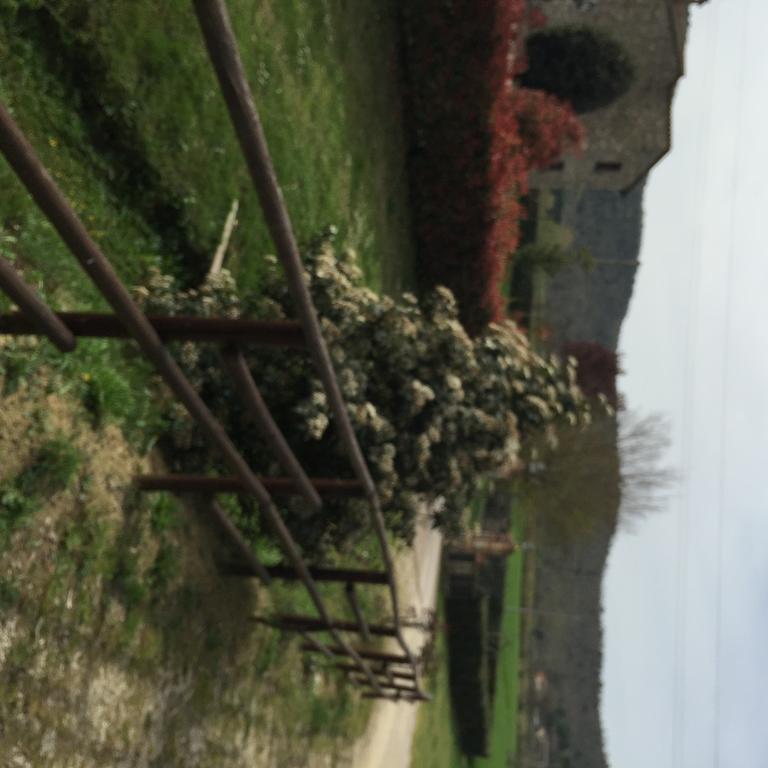 مادجوني Azienda Agrituristica I Tre Casali المظهر الخارجي الصورة